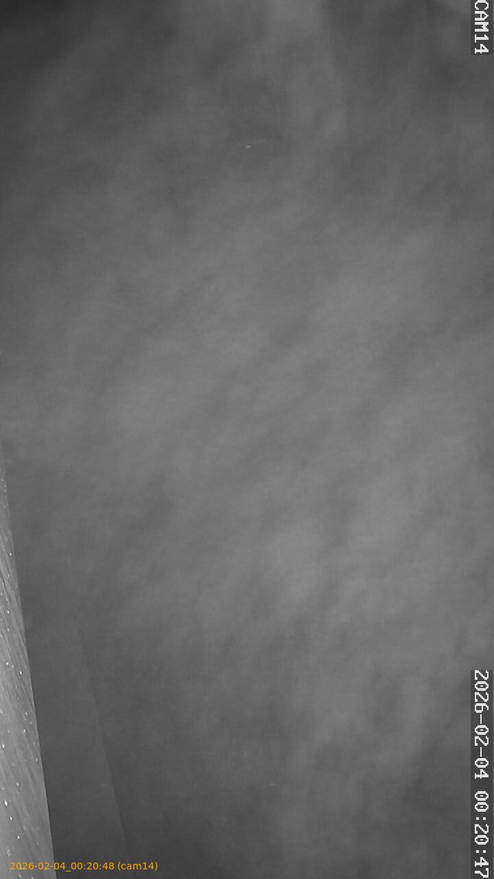 thumbnail_20260204002048