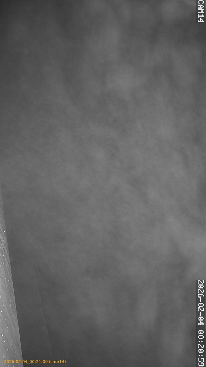 thumbnail_20260204002100