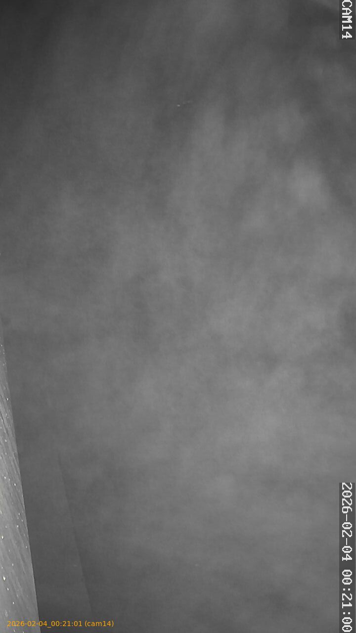 thumbnail_20260204002101