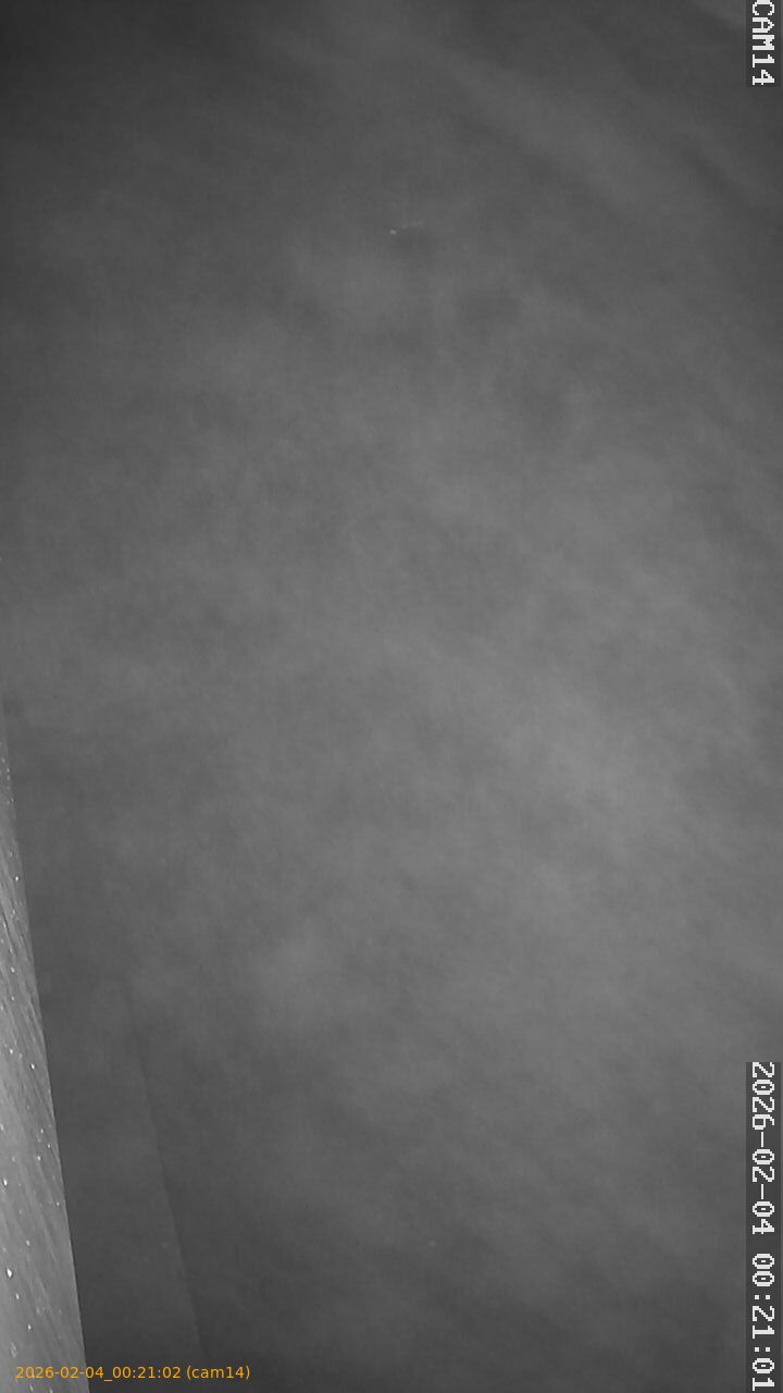 thumbnail_20260204002102