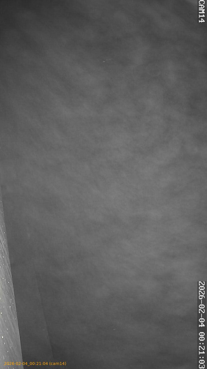 thumbnail_20260204002104