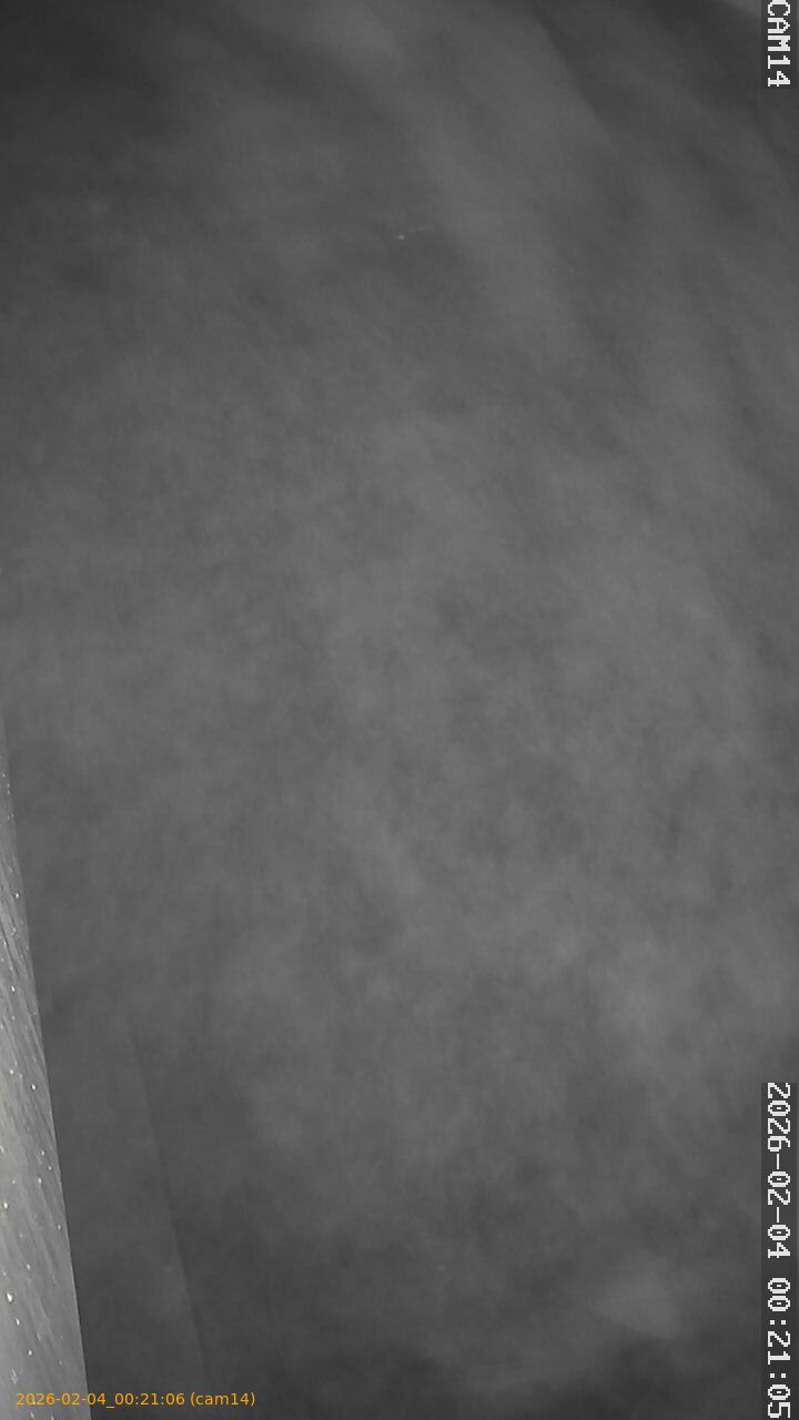 thumbnail_20260204002106