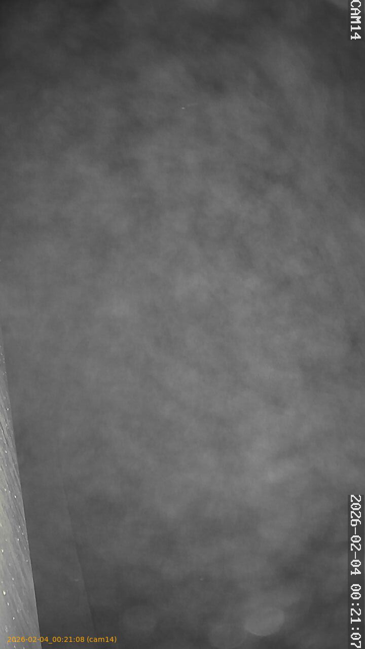 thumbnail_20260204002108