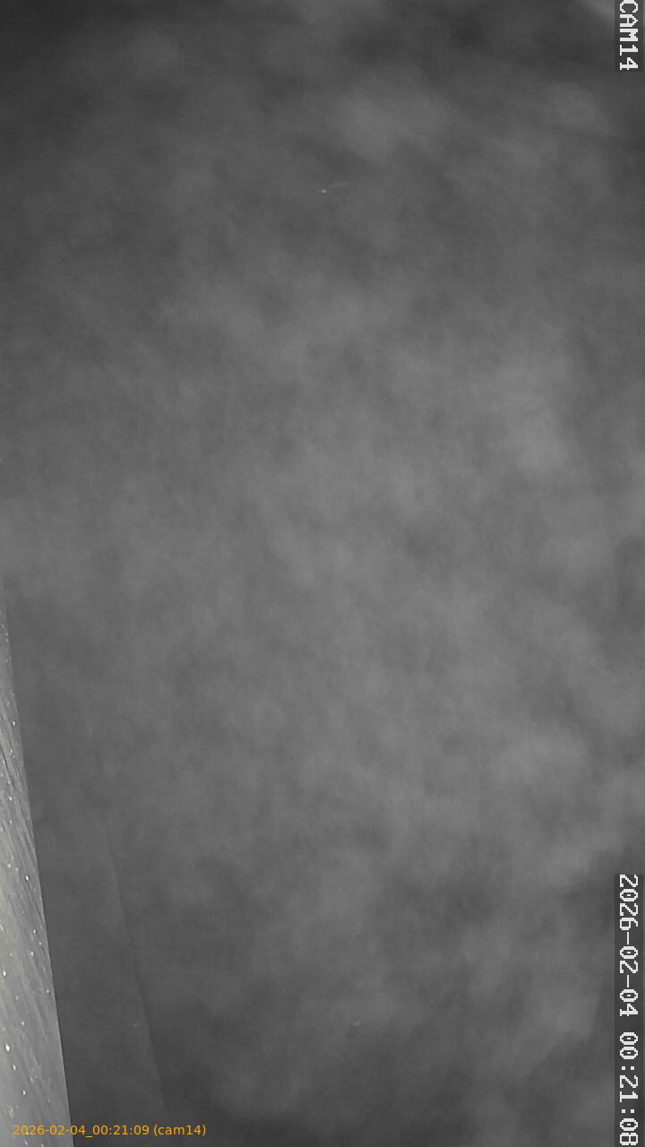 thumbnail_20260204002109