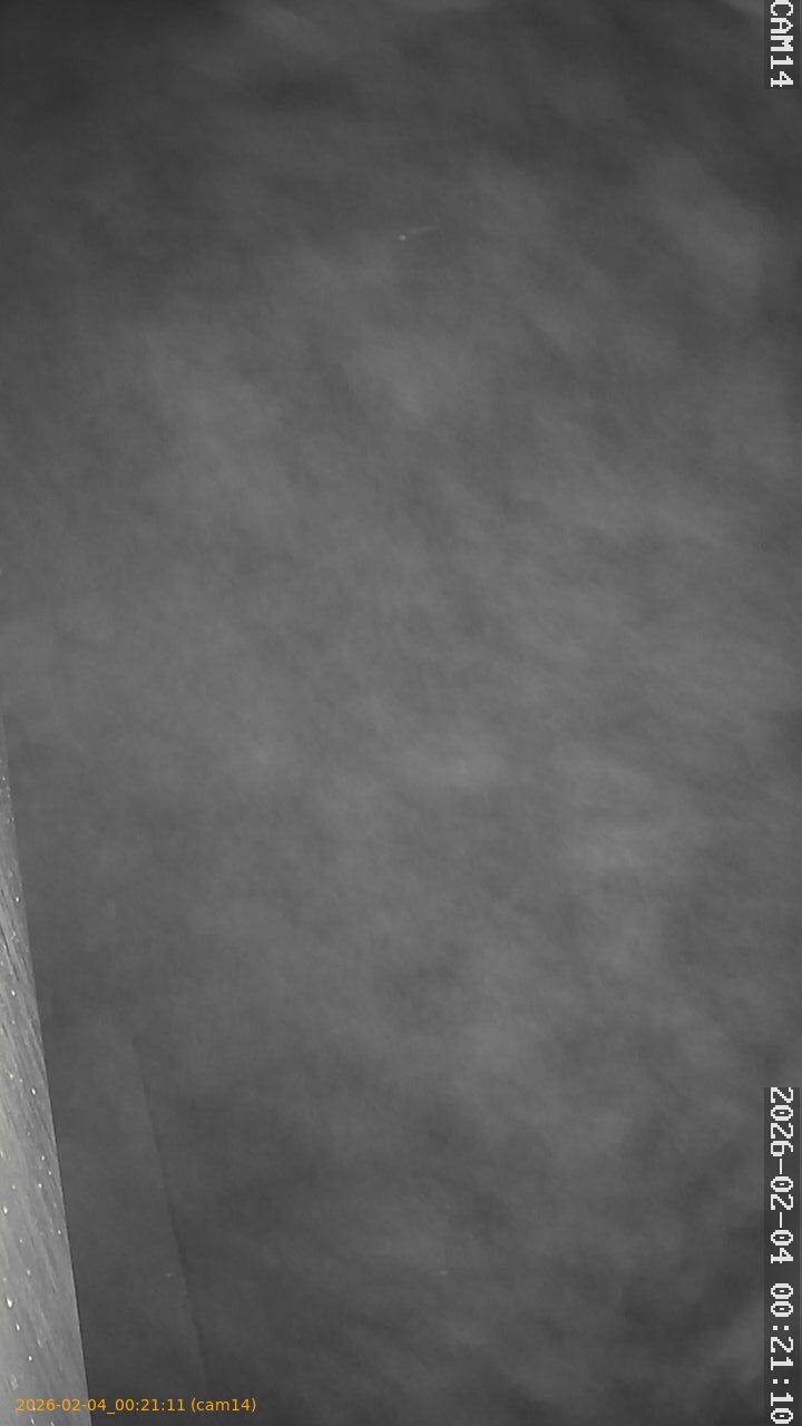 thumbnail_20260204002111