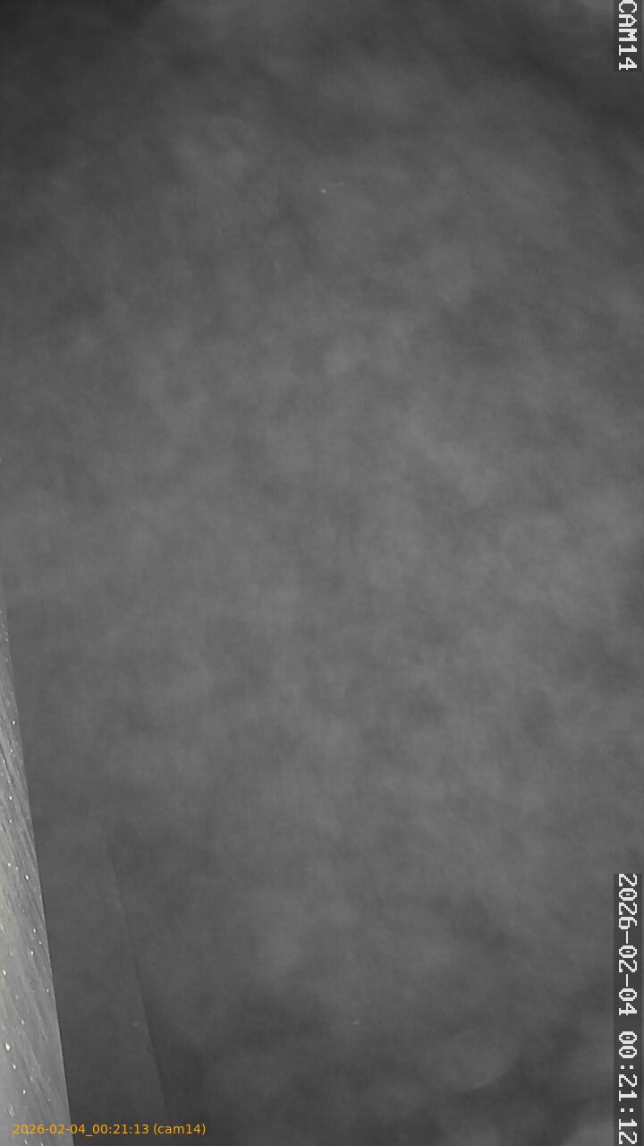 thumbnail_20260204002113