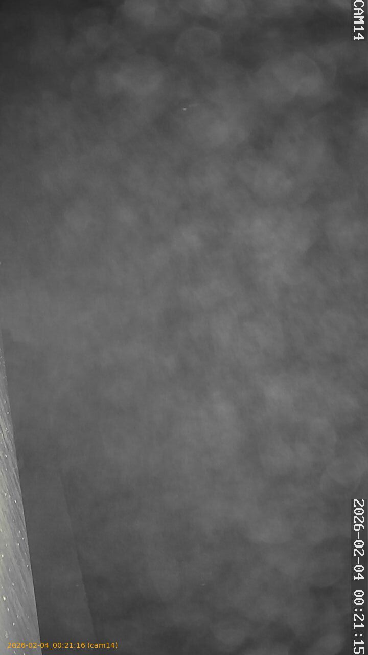 thumbnail_20260204002116