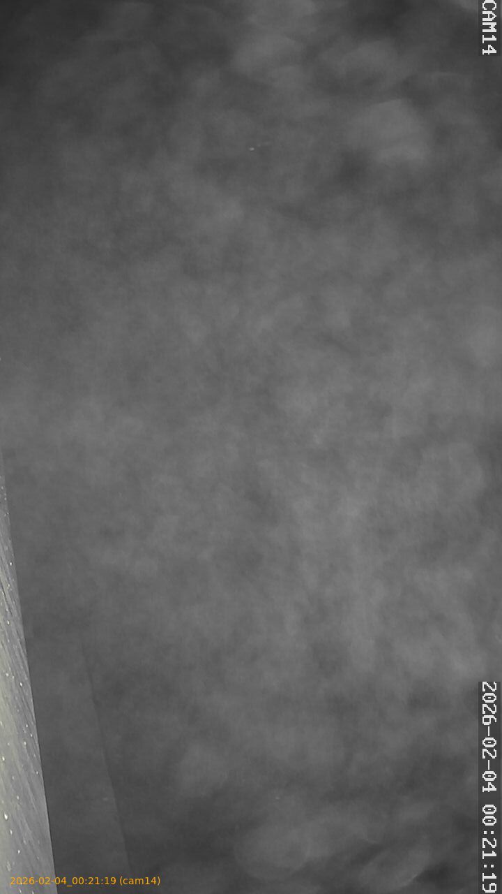 thumbnail_20260204002119