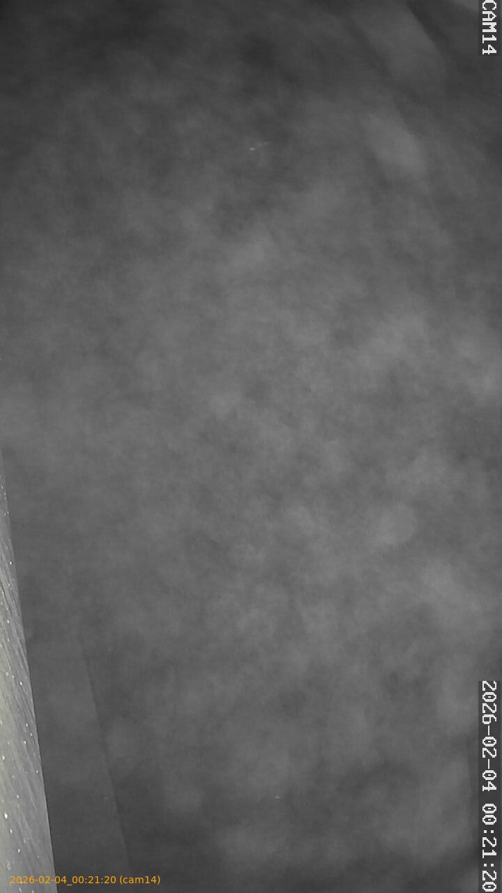 thumbnail_20260204002120