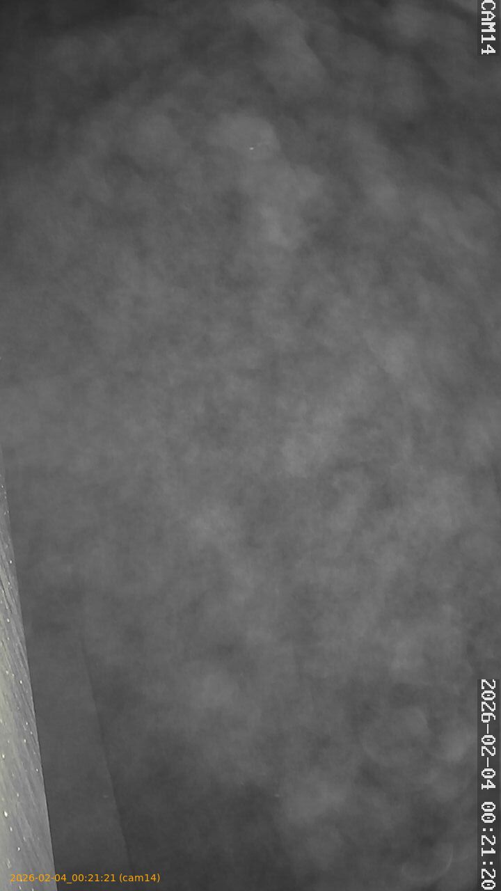 thumbnail_20260204002121