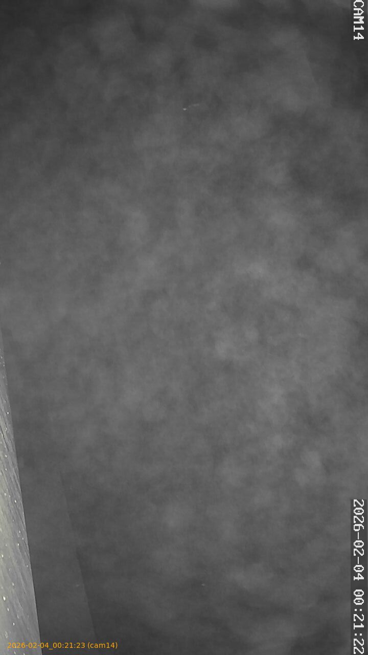 thumbnail_20260204002123