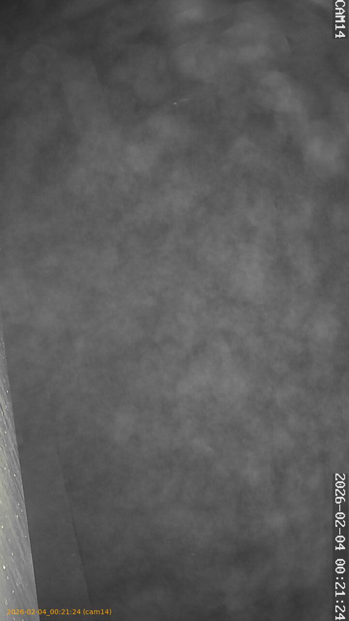 thumbnail_20260204002124