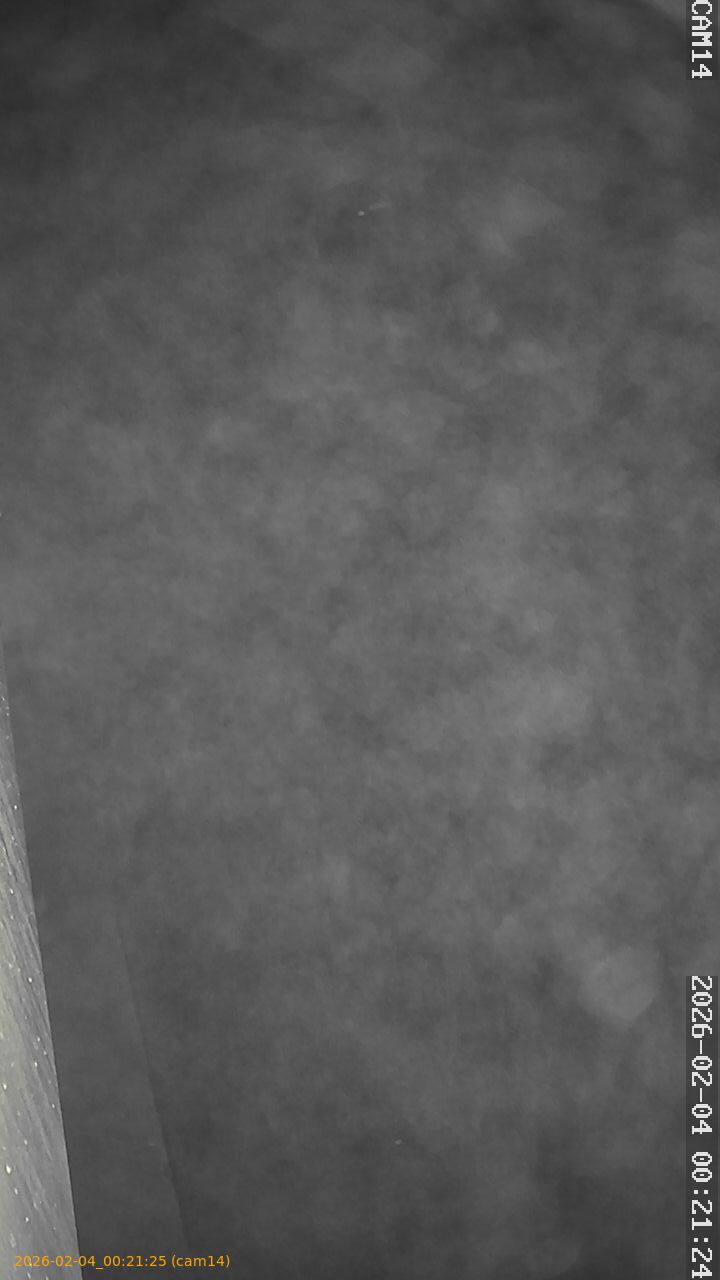 thumbnail_20260204002125