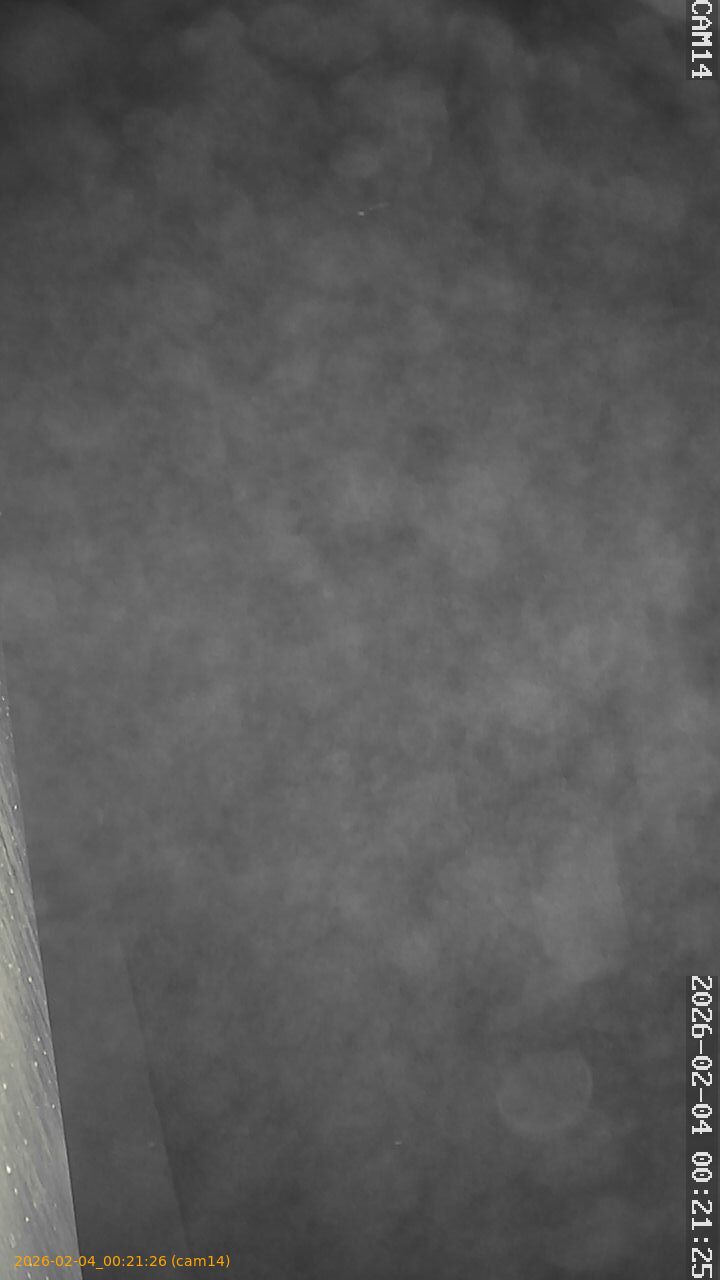 thumbnail_20260204002126