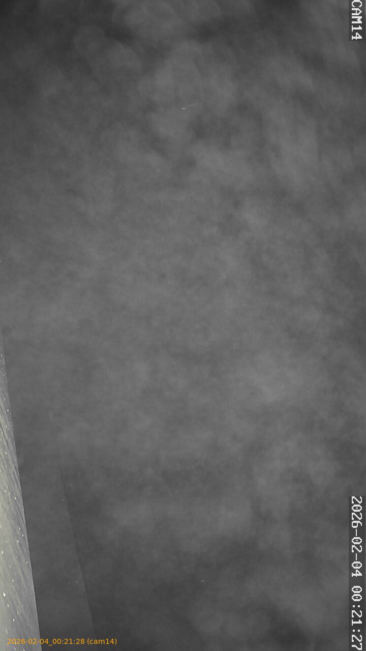 thumbnail_20260204002128