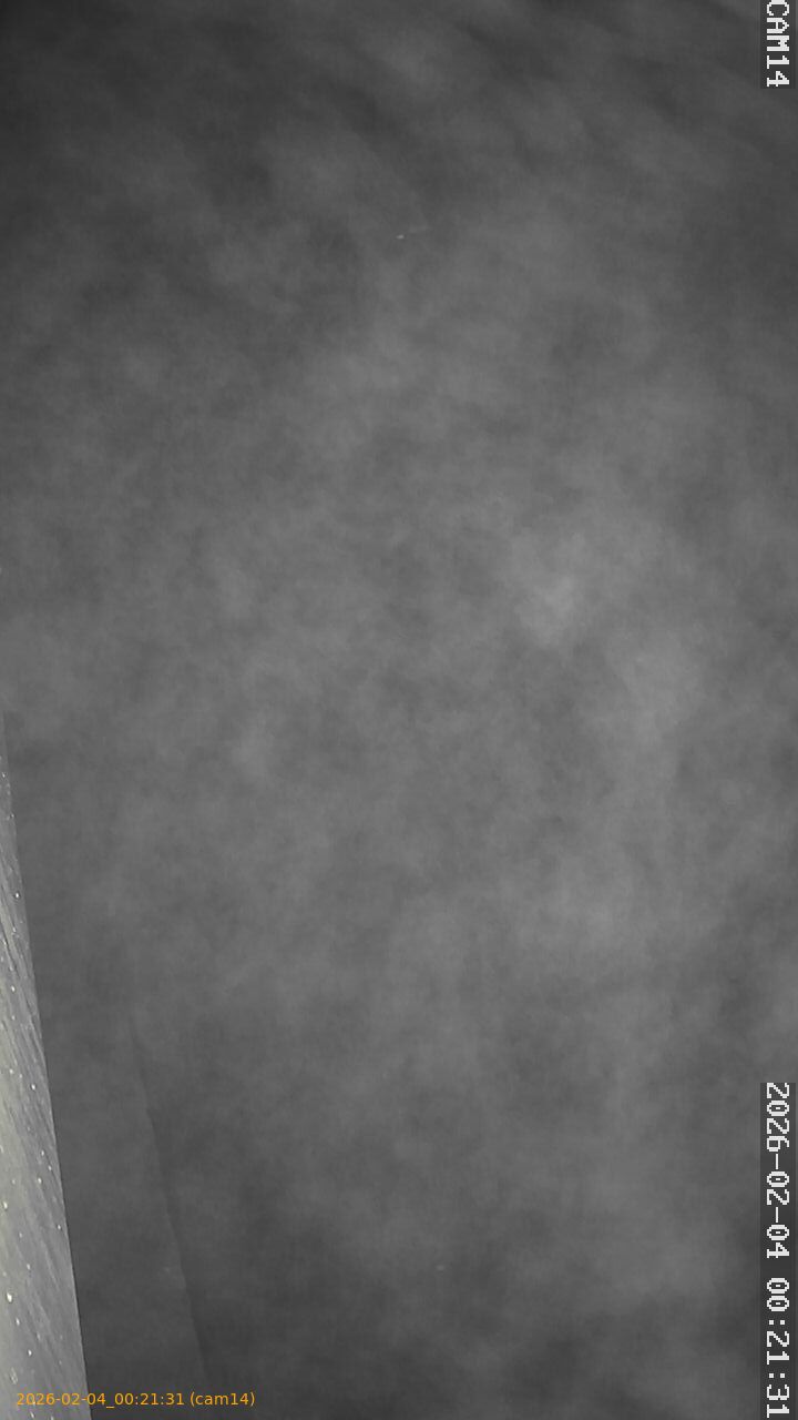 thumbnail_20260204002131