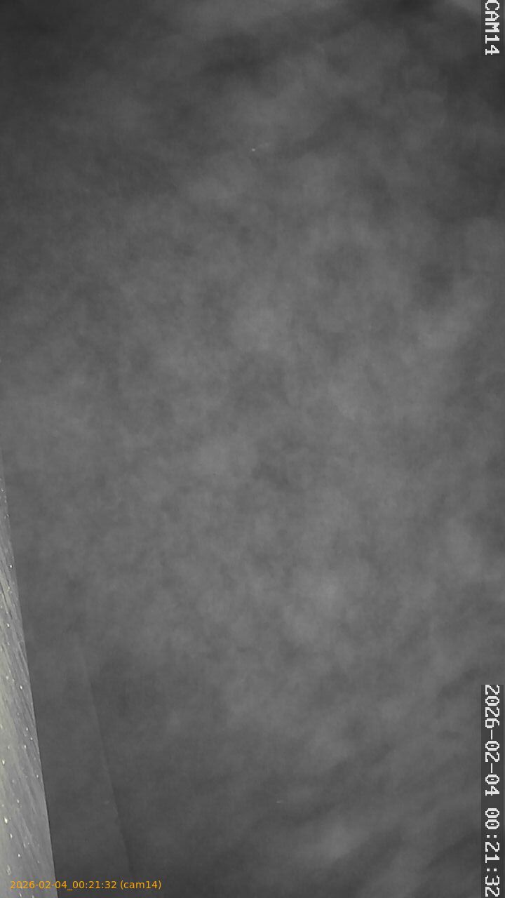 thumbnail_20260204002132