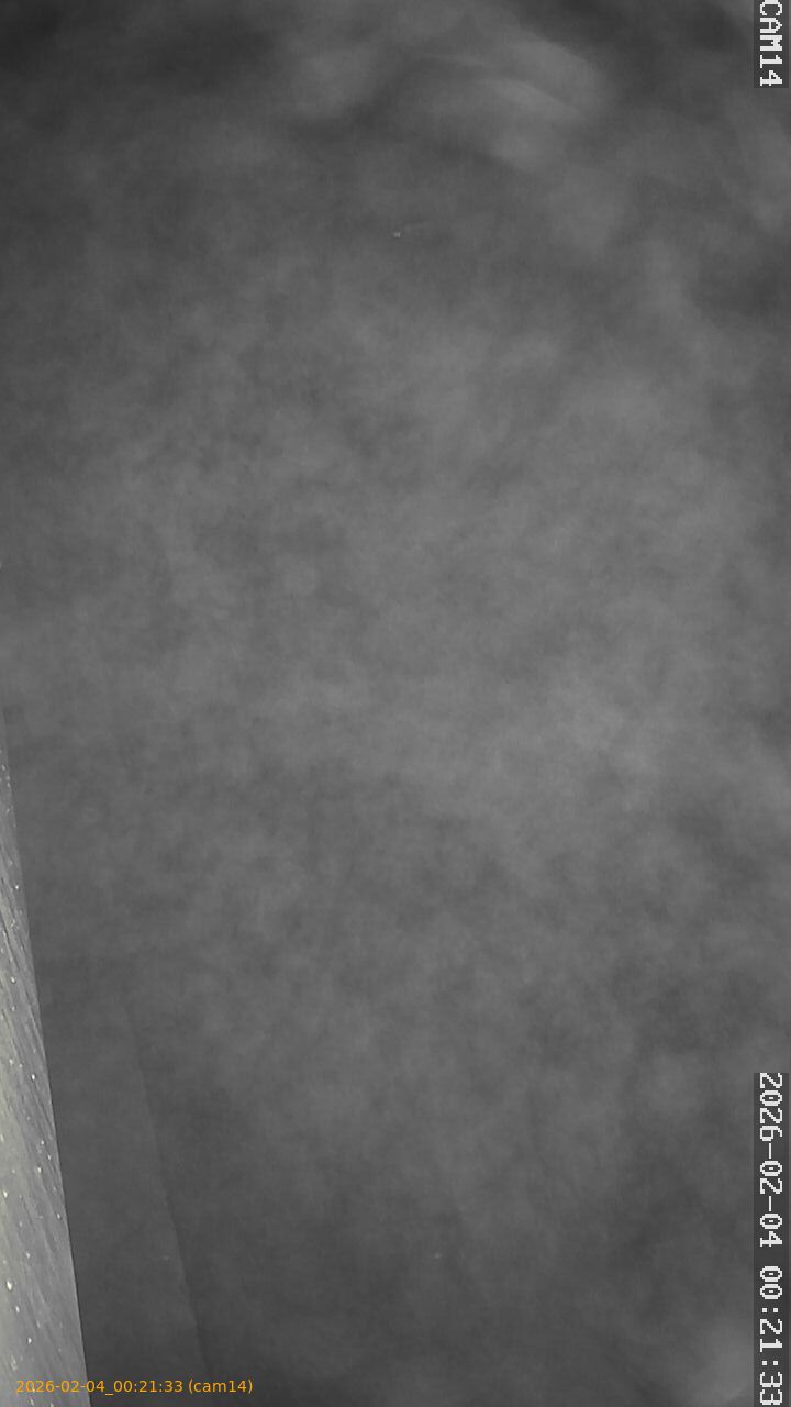 thumbnail_20260204002133