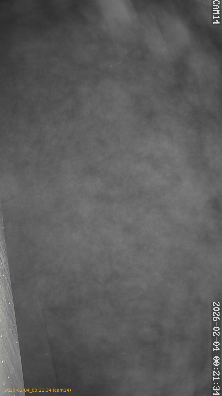 thumbnail_20260204002134