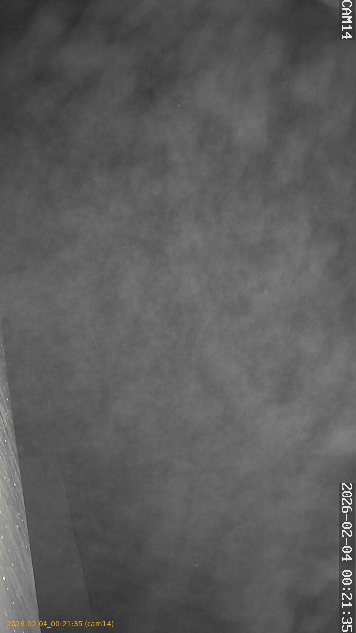 thumbnail_20260204002135