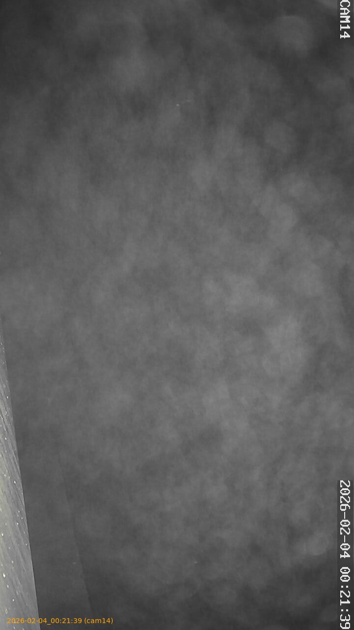 thumbnail_20260204002139