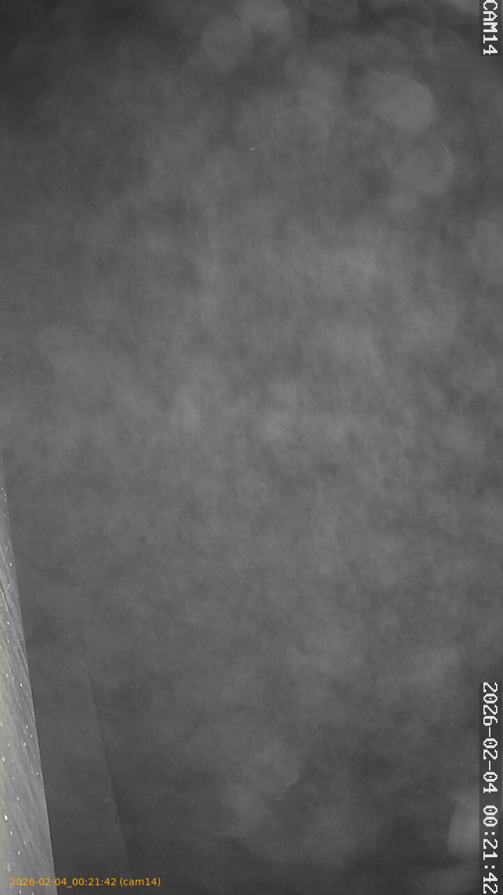 thumbnail_20260204002142