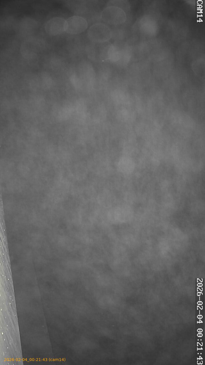 thumbnail_20260204002143