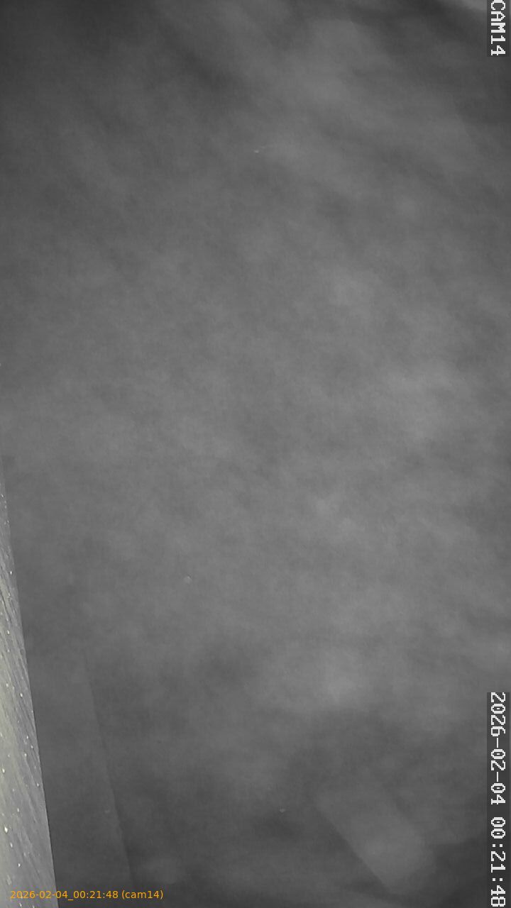 thumbnail_20260204002148