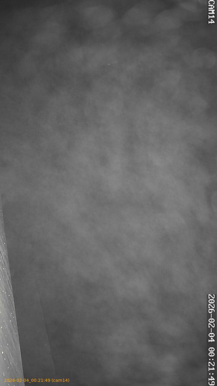 thumbnail_20260204002149