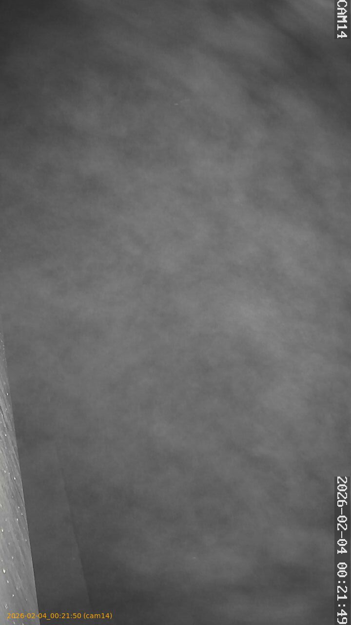 thumbnail_20260204002150