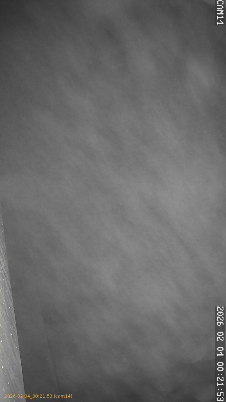 thumbnail_20260204002153