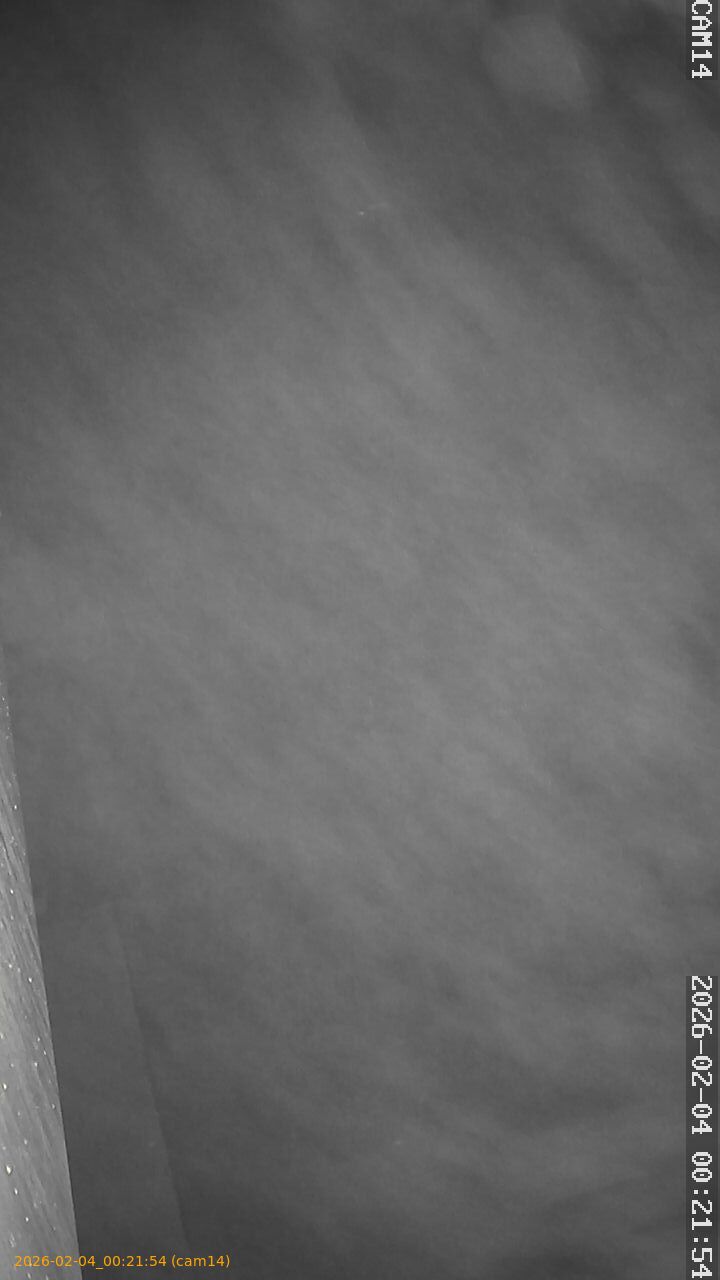 thumbnail_20260204002154