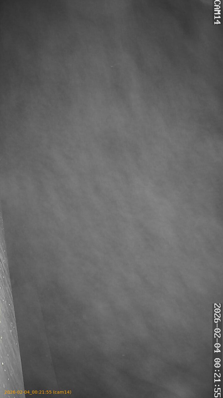 thumbnail_20260204002155