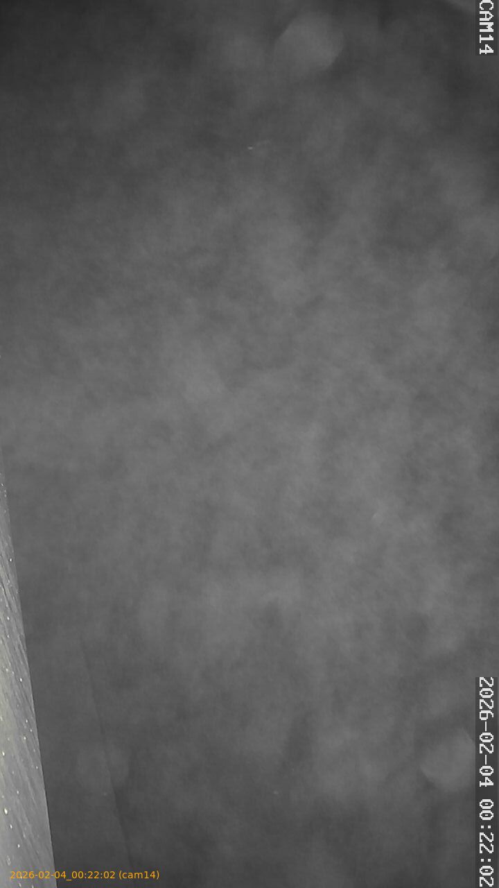 thumbnail_20260204002202