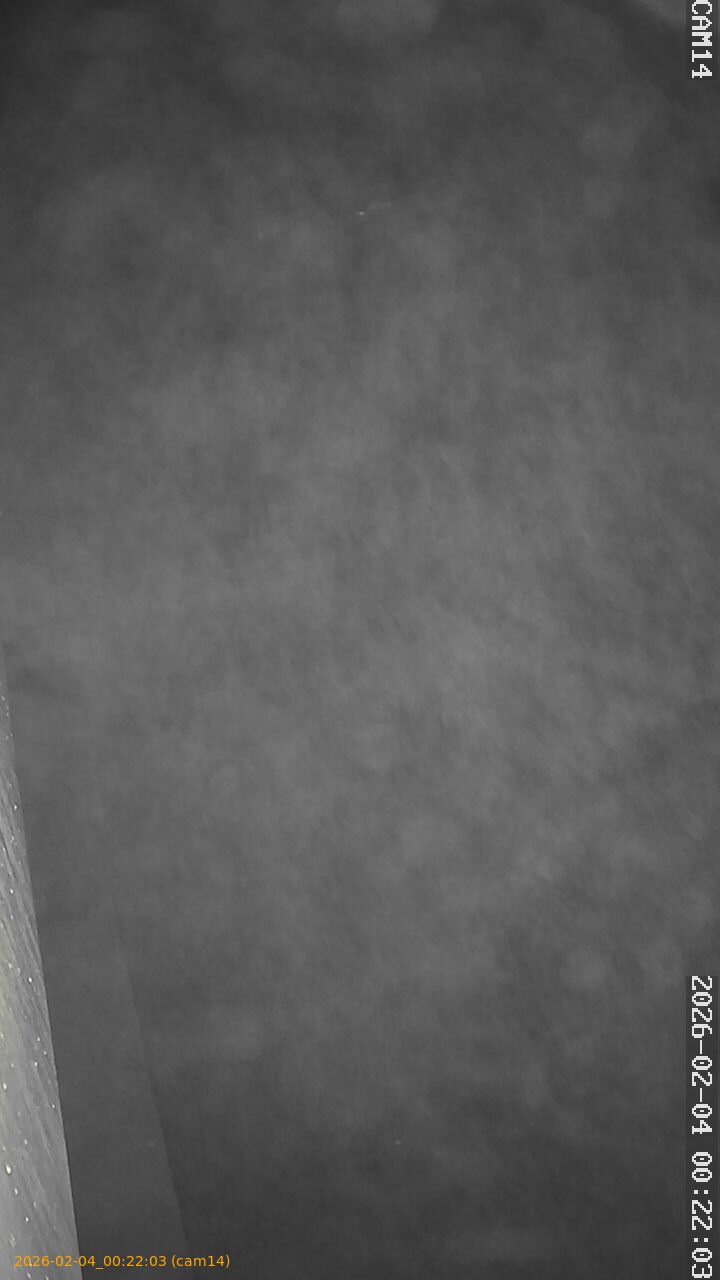 thumbnail_20260204002203