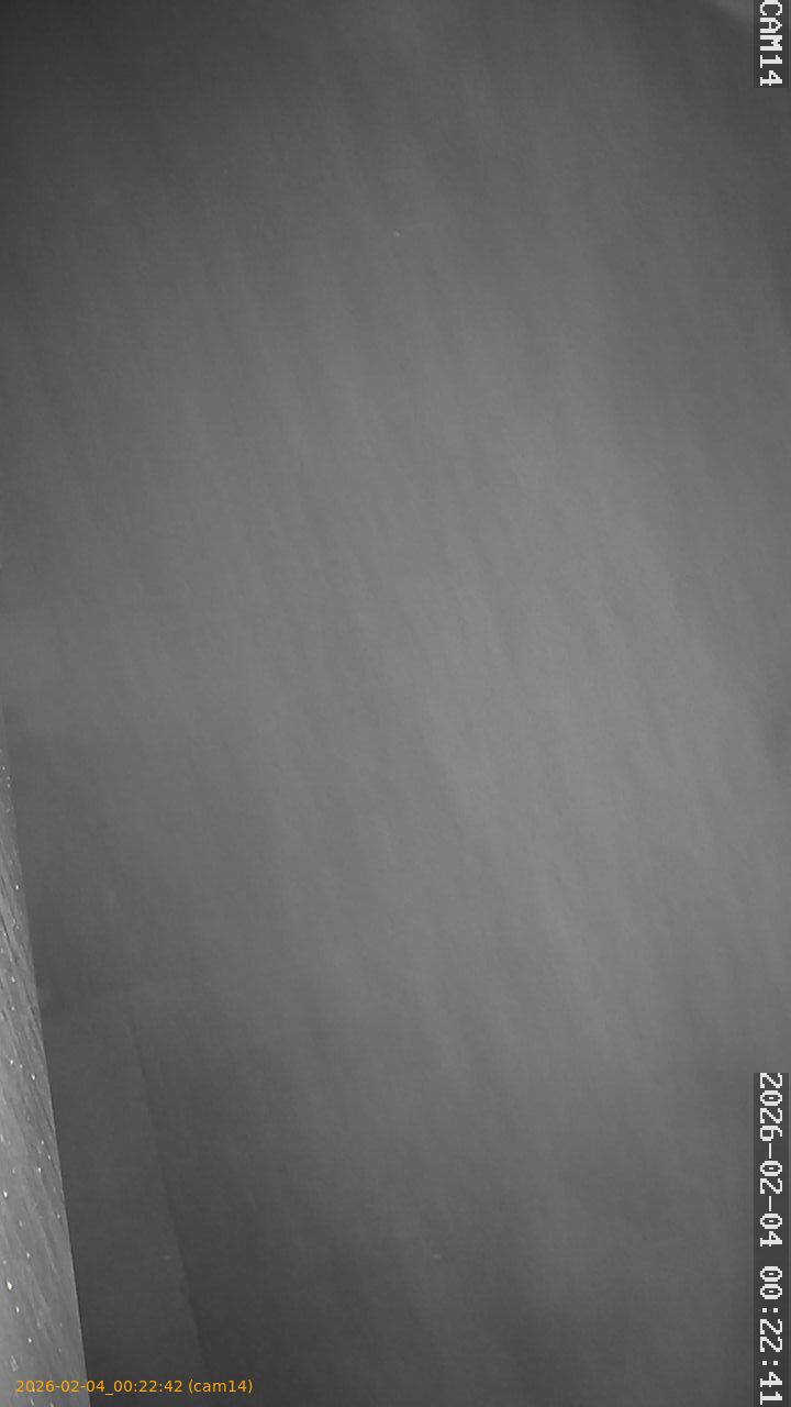 thumbnail_20260204002242