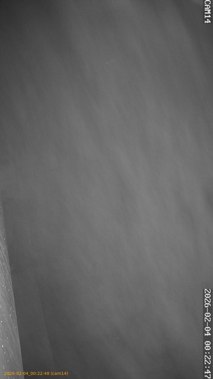 thumbnail_20260204002248