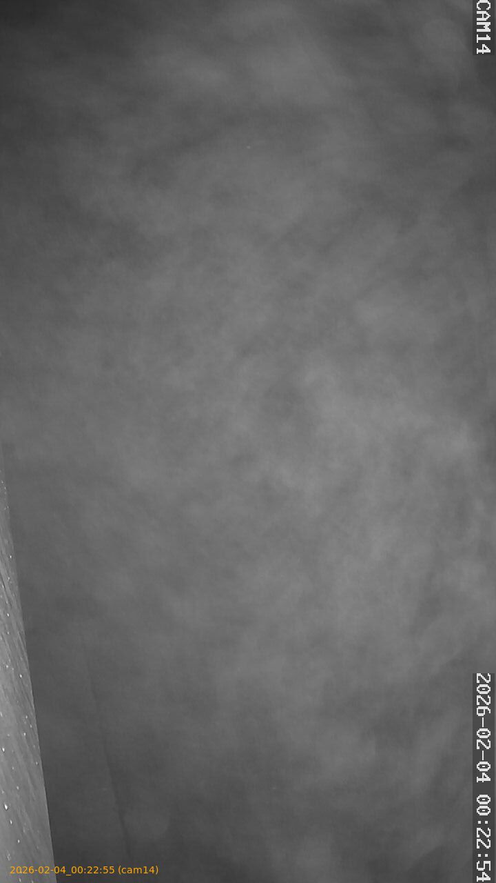 thumbnail_20260204002255