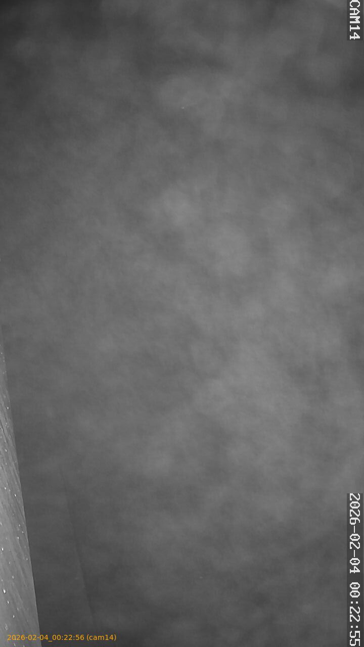 thumbnail_20260204002256