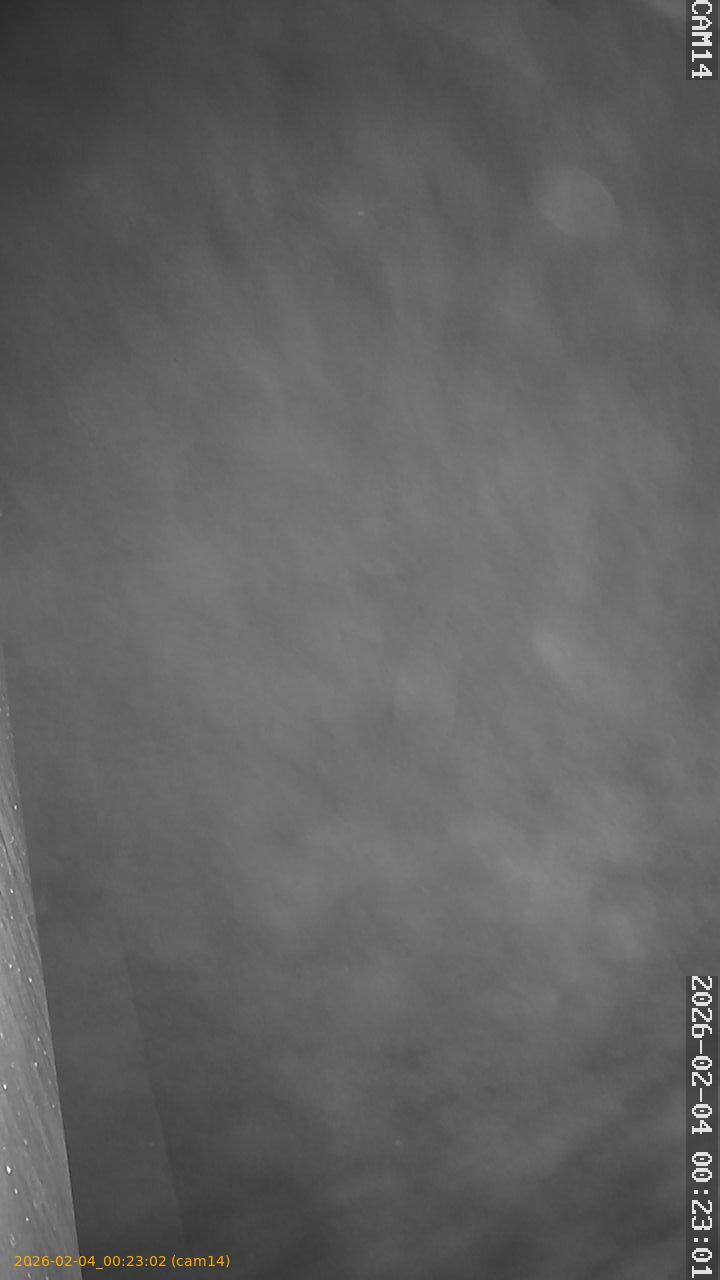 thumbnail_20260204002302