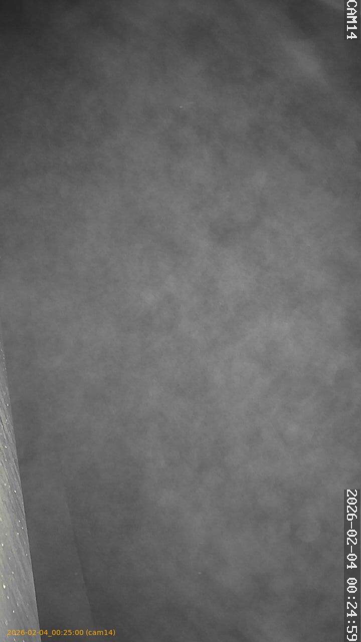 thumbnail_20260204002500