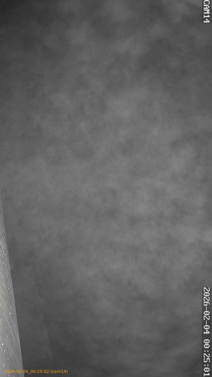 thumbnail_20260204002502