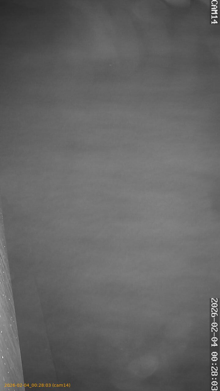 thumbnail_20260204002803