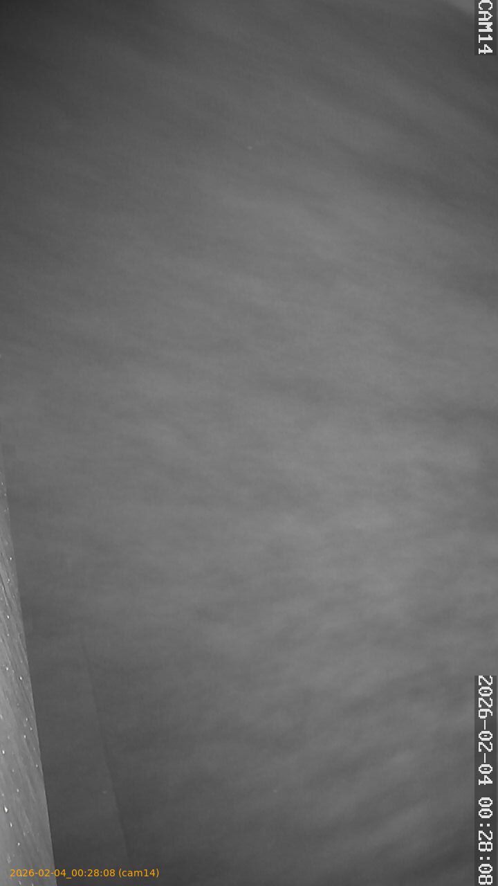 thumbnail_20260204002808