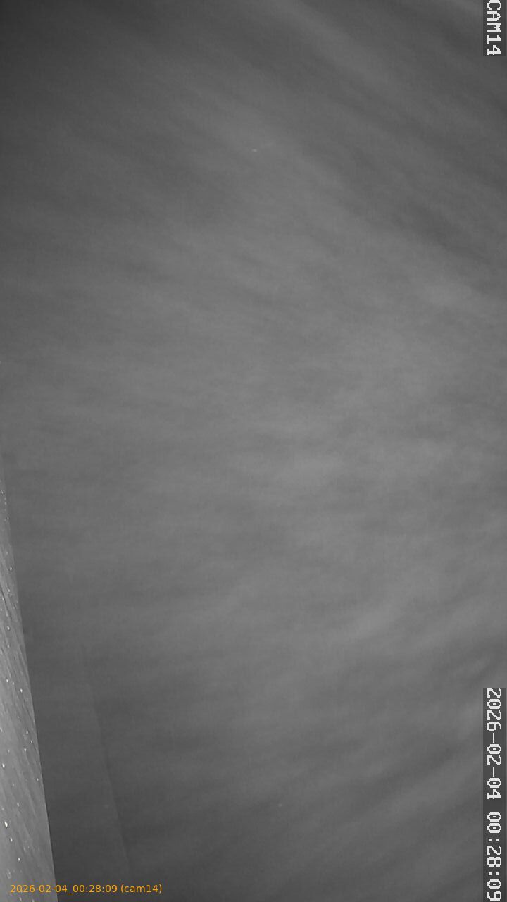 thumbnail_20260204002809