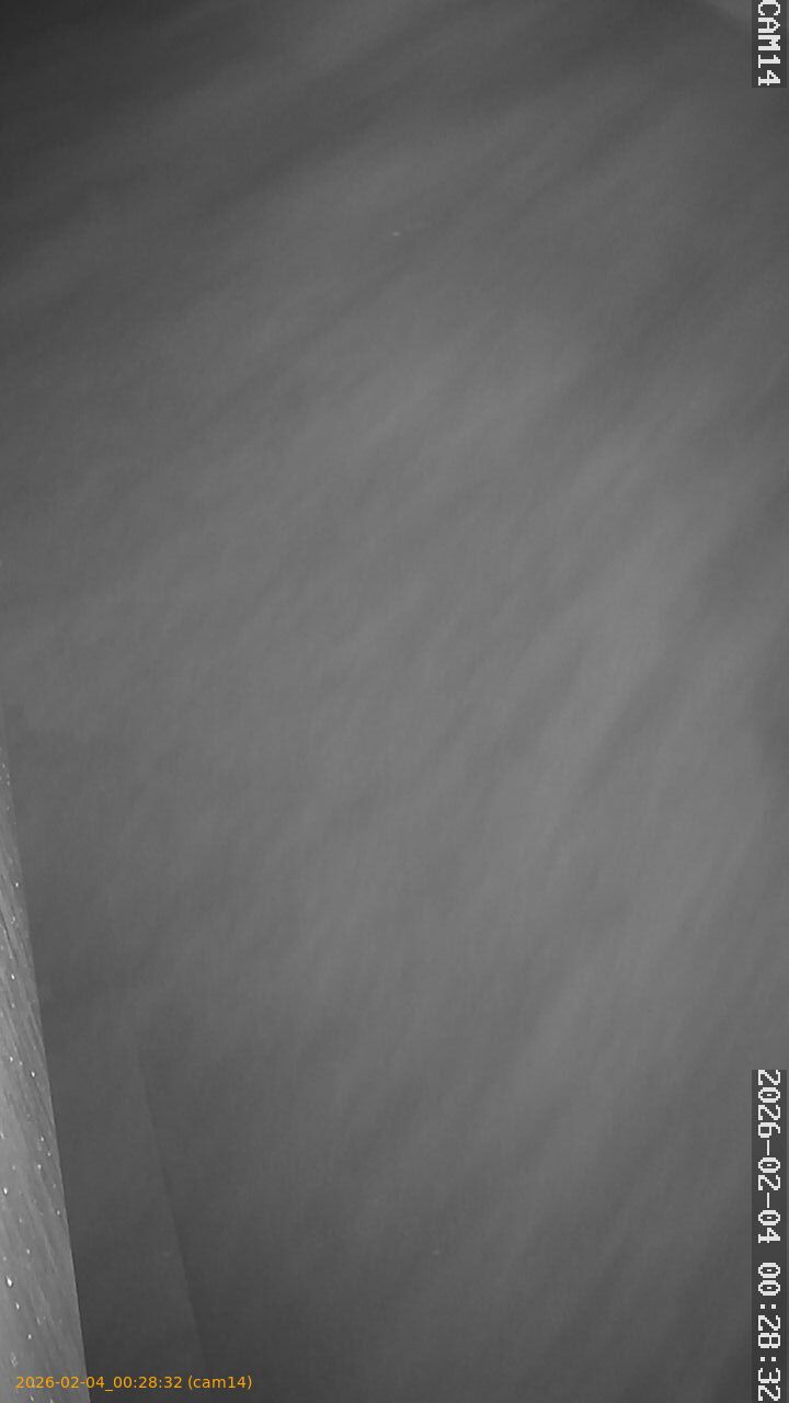 thumbnail_20260204002832