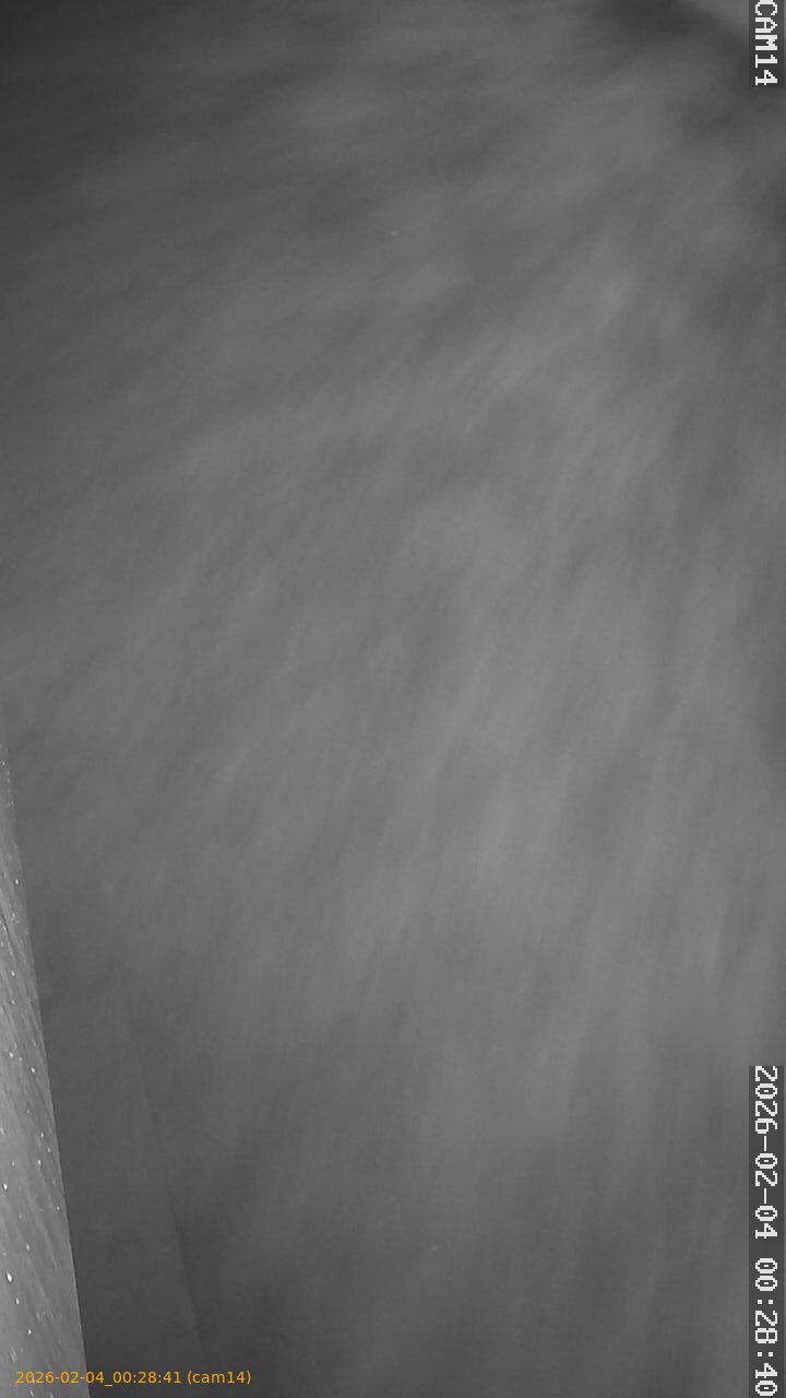 thumbnail_20260204002841