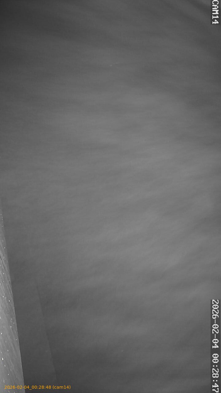 thumbnail_20260204002848