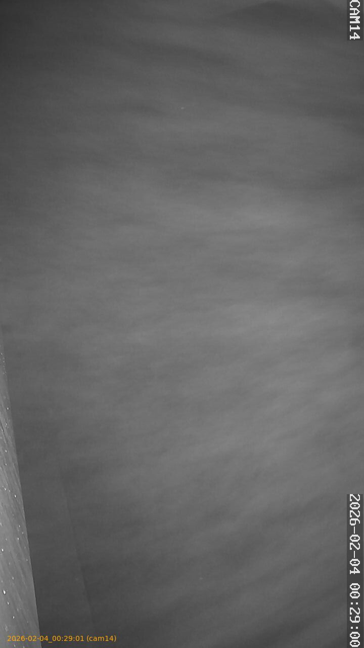 thumbnail_20260204002901