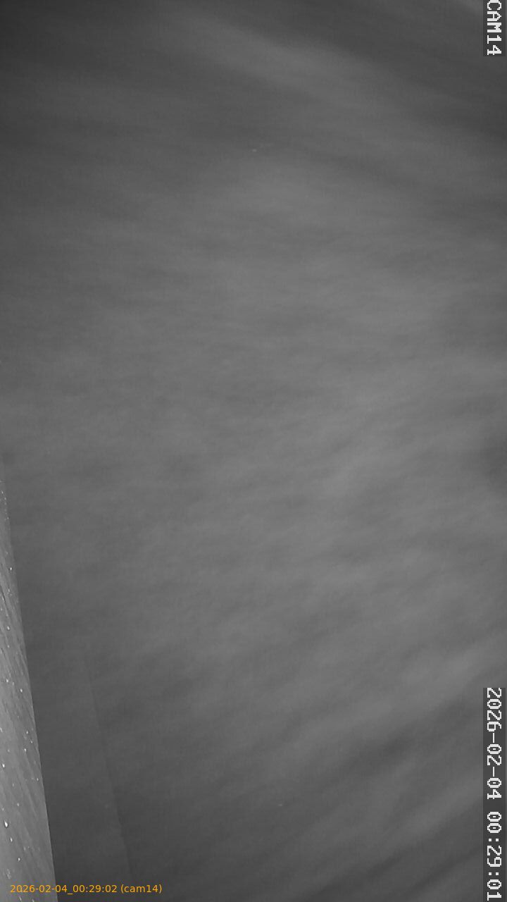 thumbnail_20260204002902